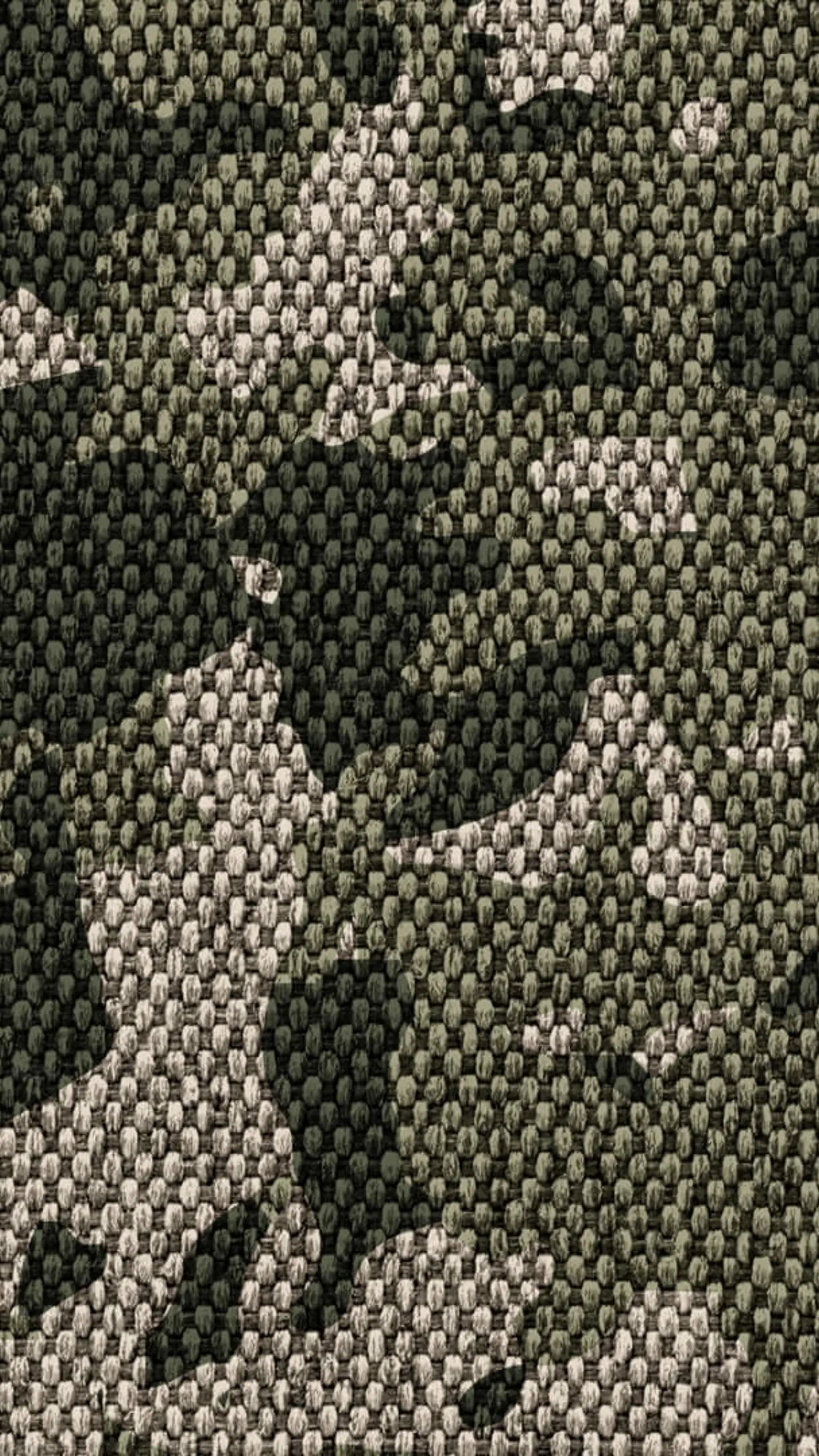 Forsvaret